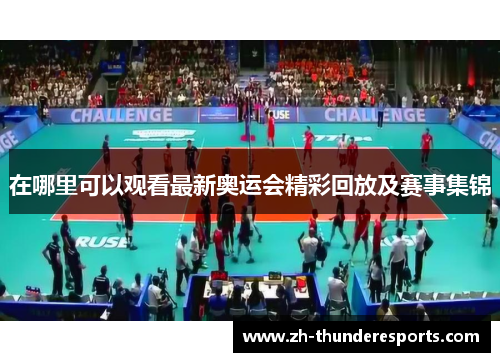 在哪里可以观看最新奥运会精彩回放及赛事集锦